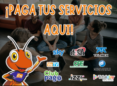 Formas de Pago